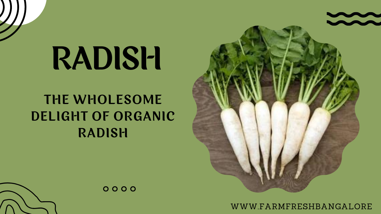 The Wholesome Delight of Organic Radish Farm Fresh Bangalore