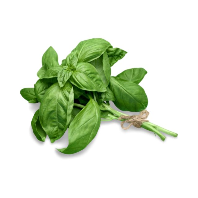 Basil 50g