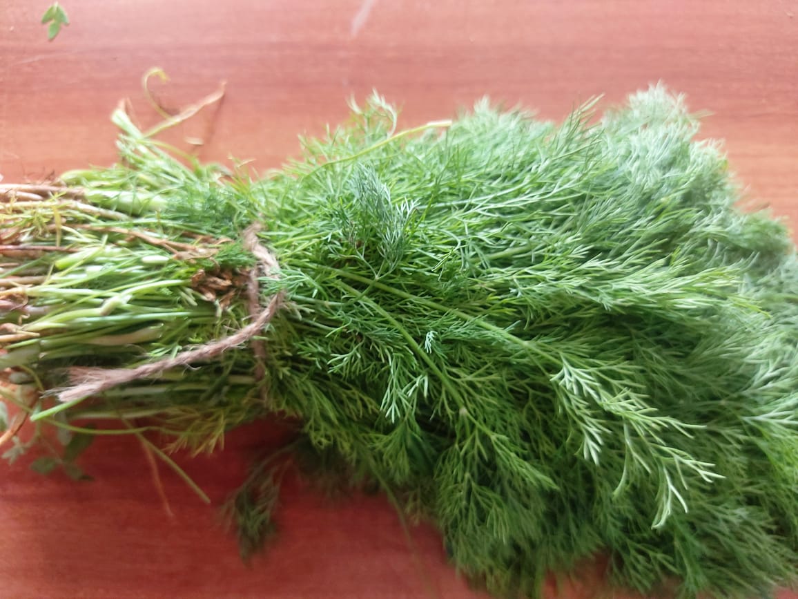 Sabbasige (Dil leaves) 1 bunch