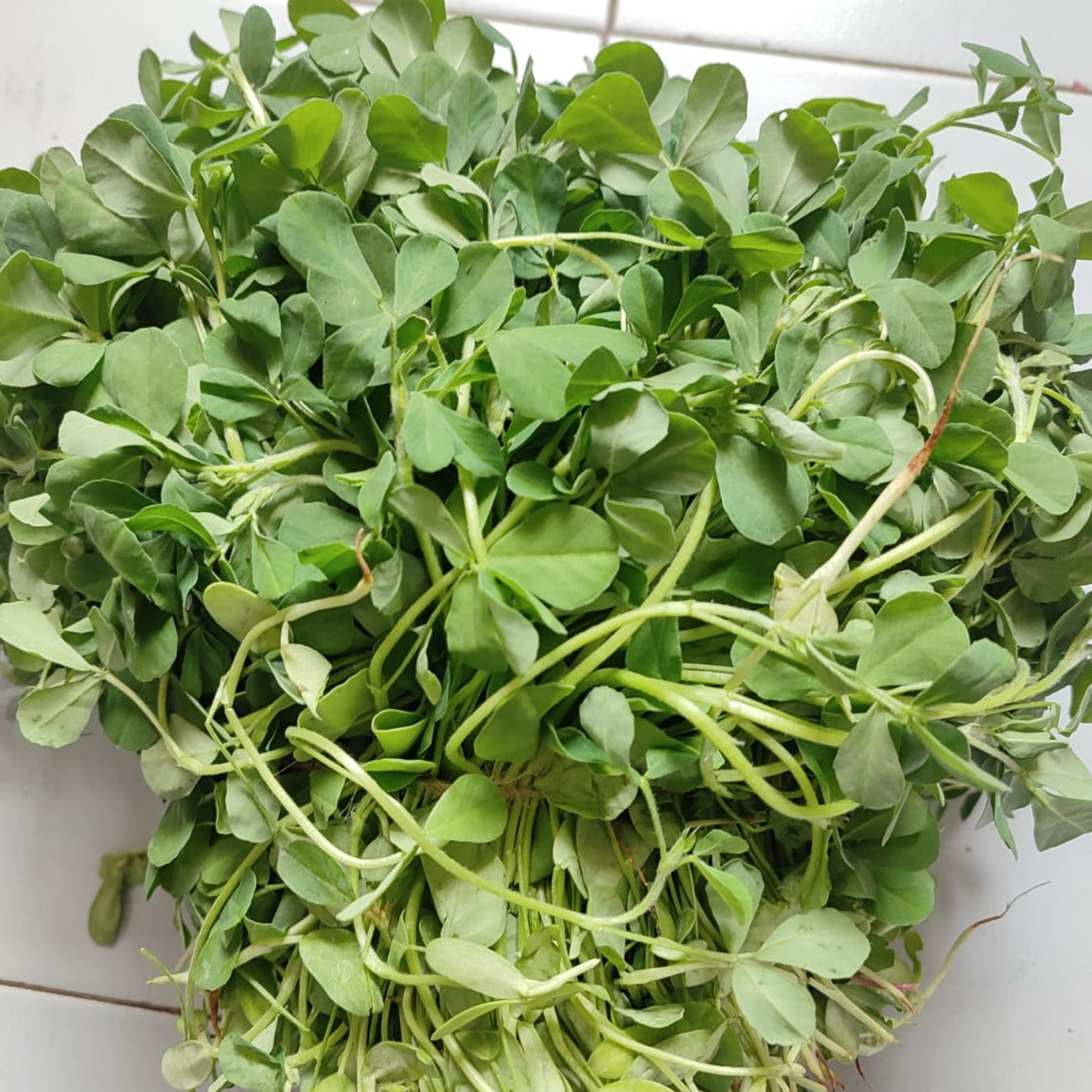 Methi Leaves (Menthya) 1 bunch