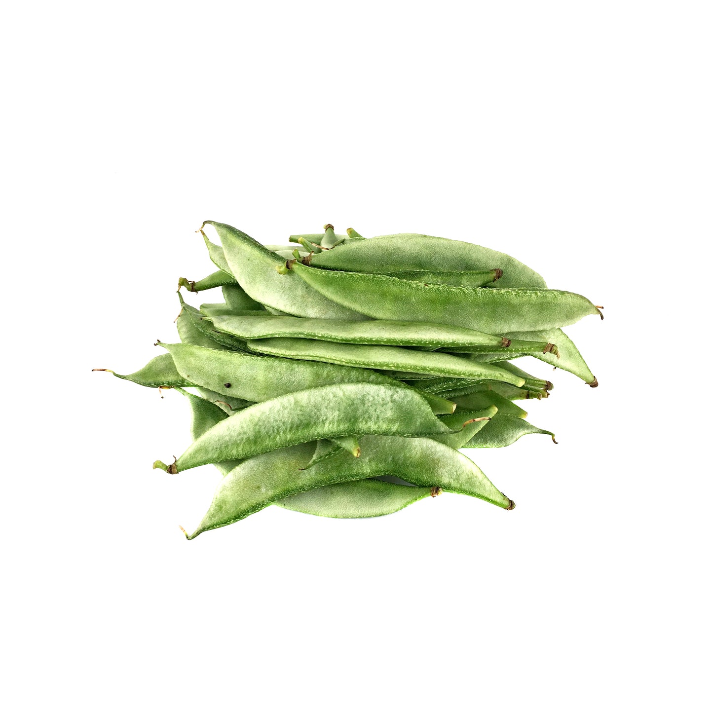 Beans Flat 500g