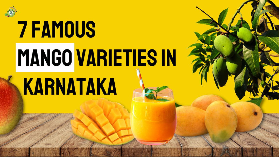 7 Famous Mangoe varieties in Karnataka