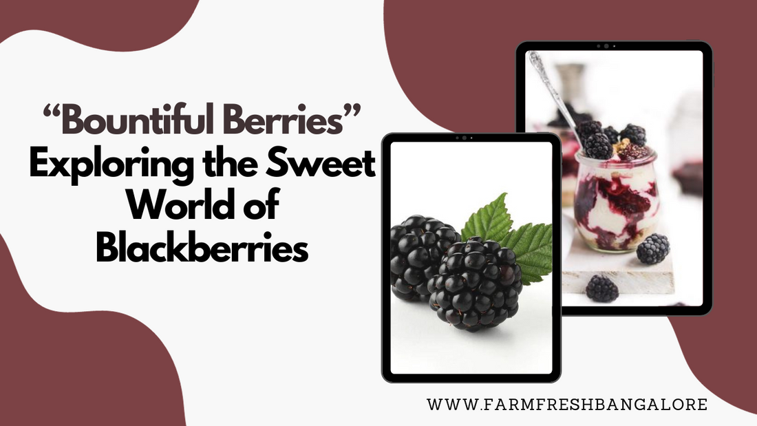 Bountiful Berries: Exploring the Sweet World of Blackberries