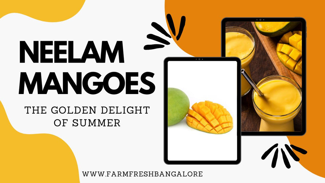 Neelam Mango: The Golden Delight of Summer