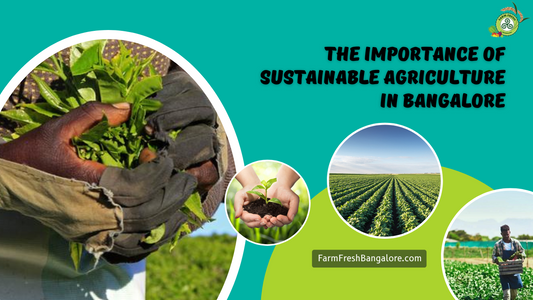 The Importance Of Sustainable Agriculture In Bangalore