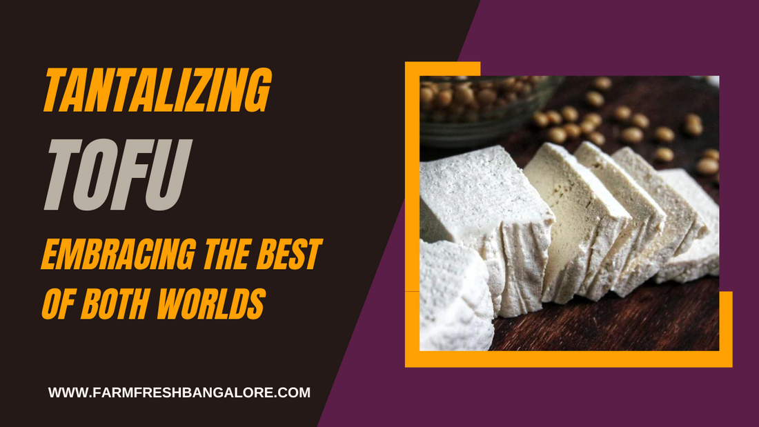 Tantalizing Tofu: Embracing the Best of Both Worlds