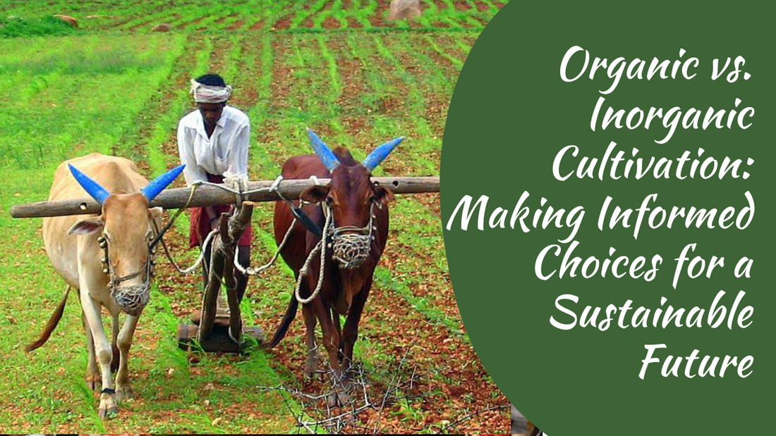 Organic vs. Inorganic Cultivation: Making Informed Choices for a Sustainable Future