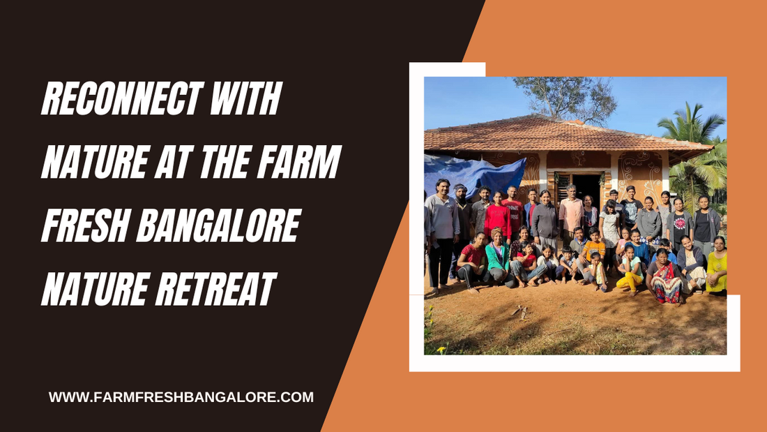 Reconnect with Nature at the FarmFreshBangalore Nature Retreat
