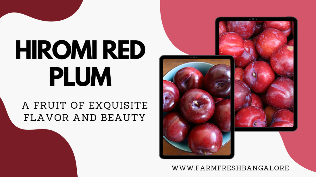 Hiromi Red Plum: A Fruit of Exquisite Flavor and Beauty