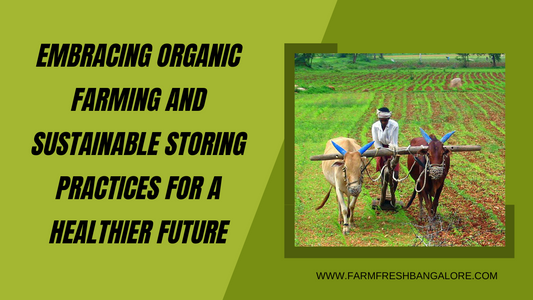 Embracing Organic Farming and Sustainable Storing Practices for a Healthier Future