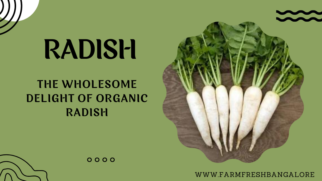 The Wholesome Delight of Organic Radish