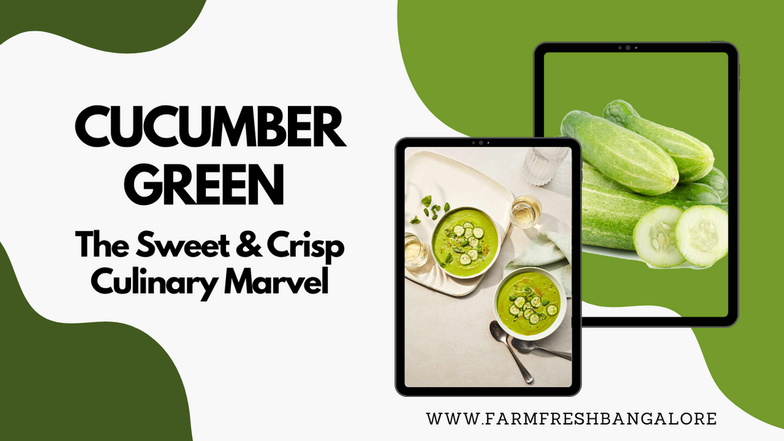 Introducing Cucumber Green: The Sweet & Crisp Culinary Marvel