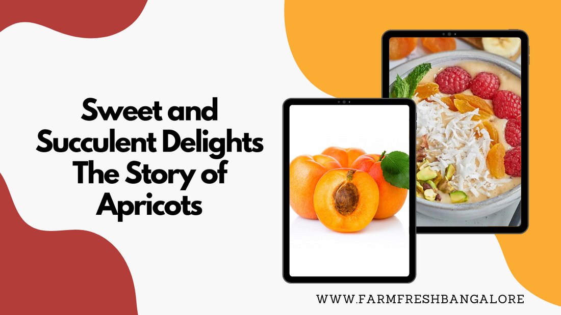 Sweet and Succulent Delights: The Story of Apricots with Recipes