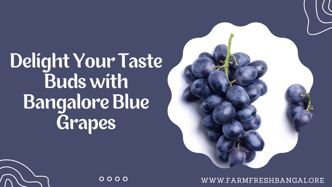 Delight Your Taste Buds with Bangalore Blue Grapes