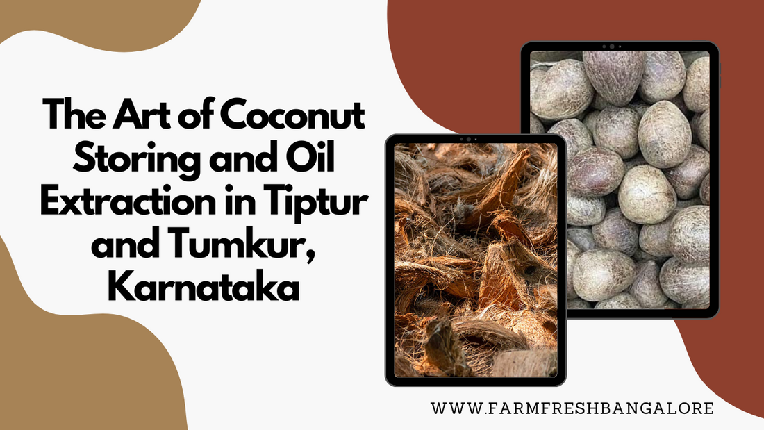 The Art of Coconut Storing and Oil Extraction in Tiptur and Tumkur, Karnataka