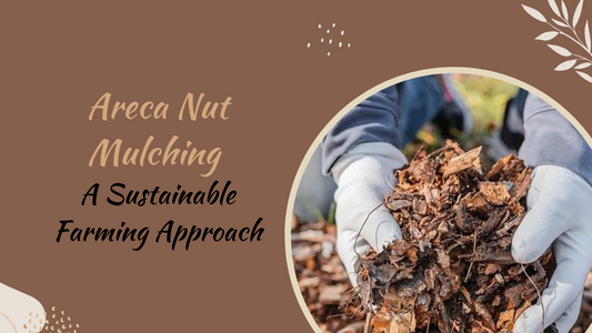 Areca Nut Mulching: A Sustainable Farming Approach