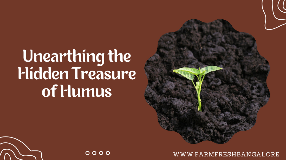 Unearthing the Hidden Treasure of Humus: Nature's Nutrient-Rich Gold