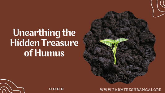 Unearthing the Hidden Treasure of Humus: Nature's Nutrient-Rich Gold