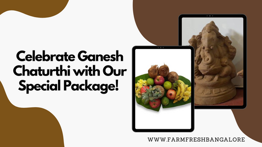 Celebrate Ganesh Chaturthi with Our Special Package!