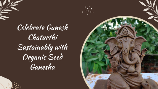 Celebrate Ganesh Chaturthi Sustainably with Organic Seed Ganesha