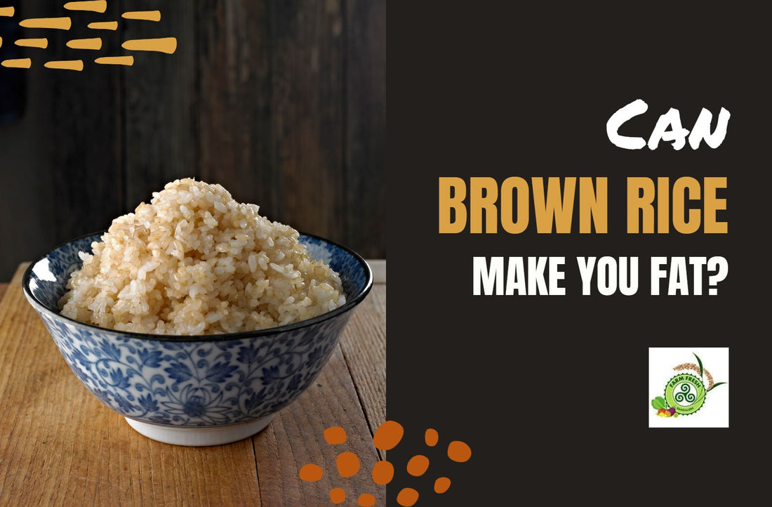 Can Brown Rice Make You Fat