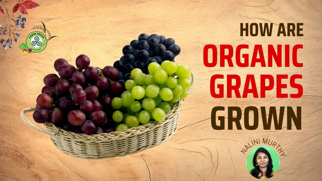 How are organic grapes grown?