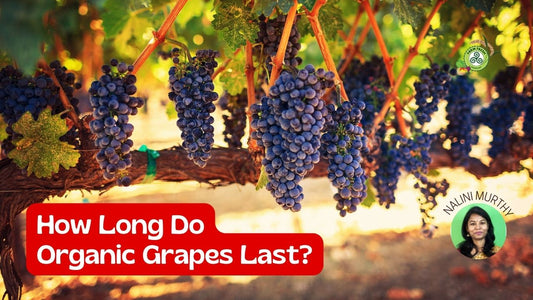 How long do organic grapes last?