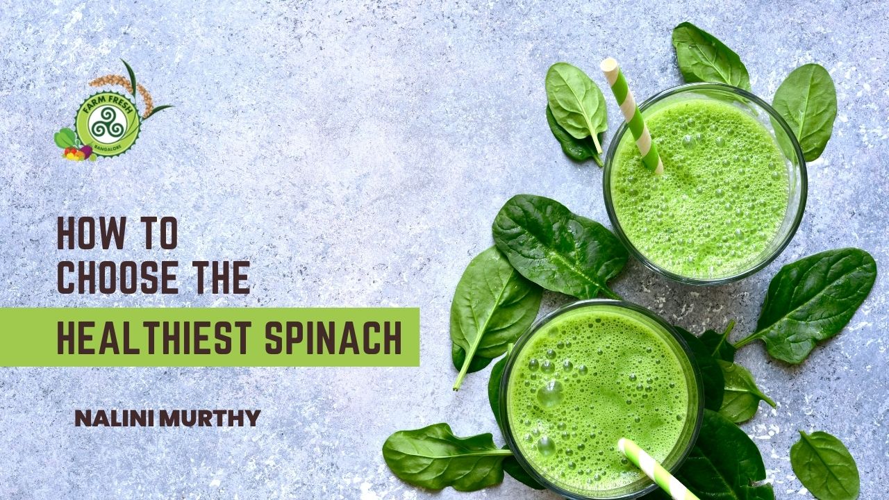 How to choose the healthiest spinach? Farm Fresh Bangalore