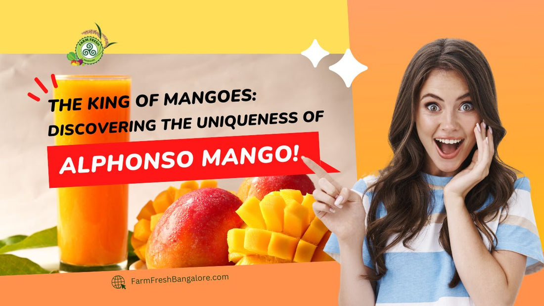 The king of Mangoes: Discovering the uniqueness of Alphonso Mango!