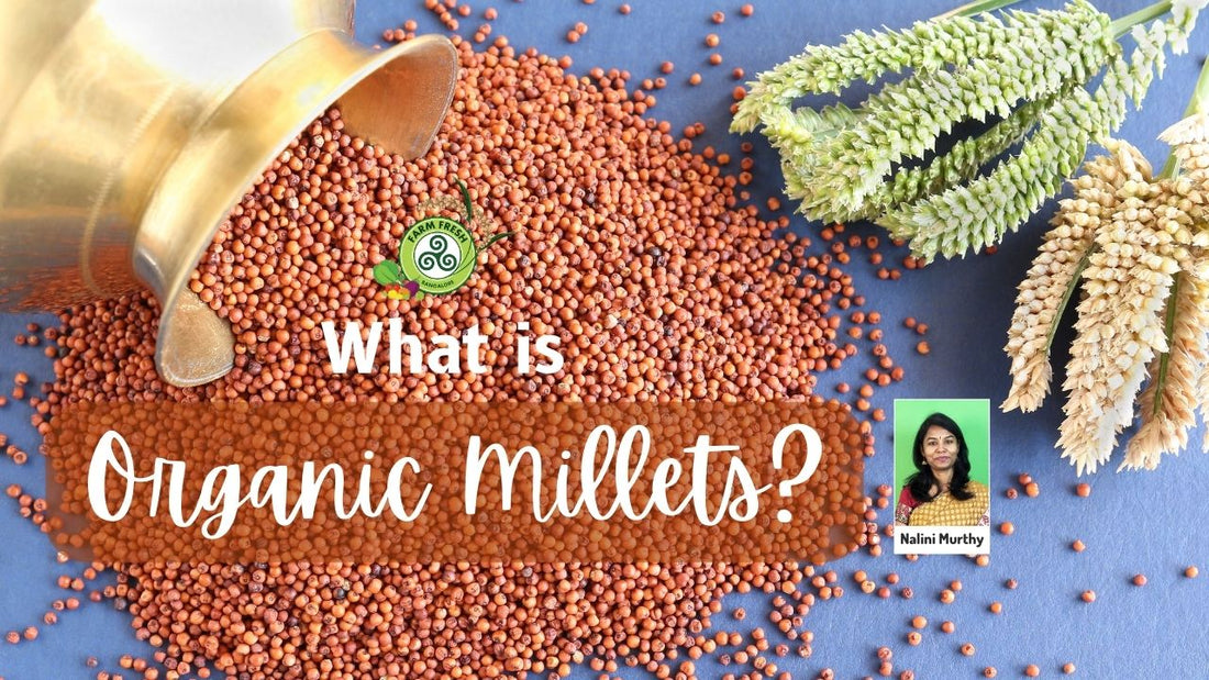 What is organic millet?