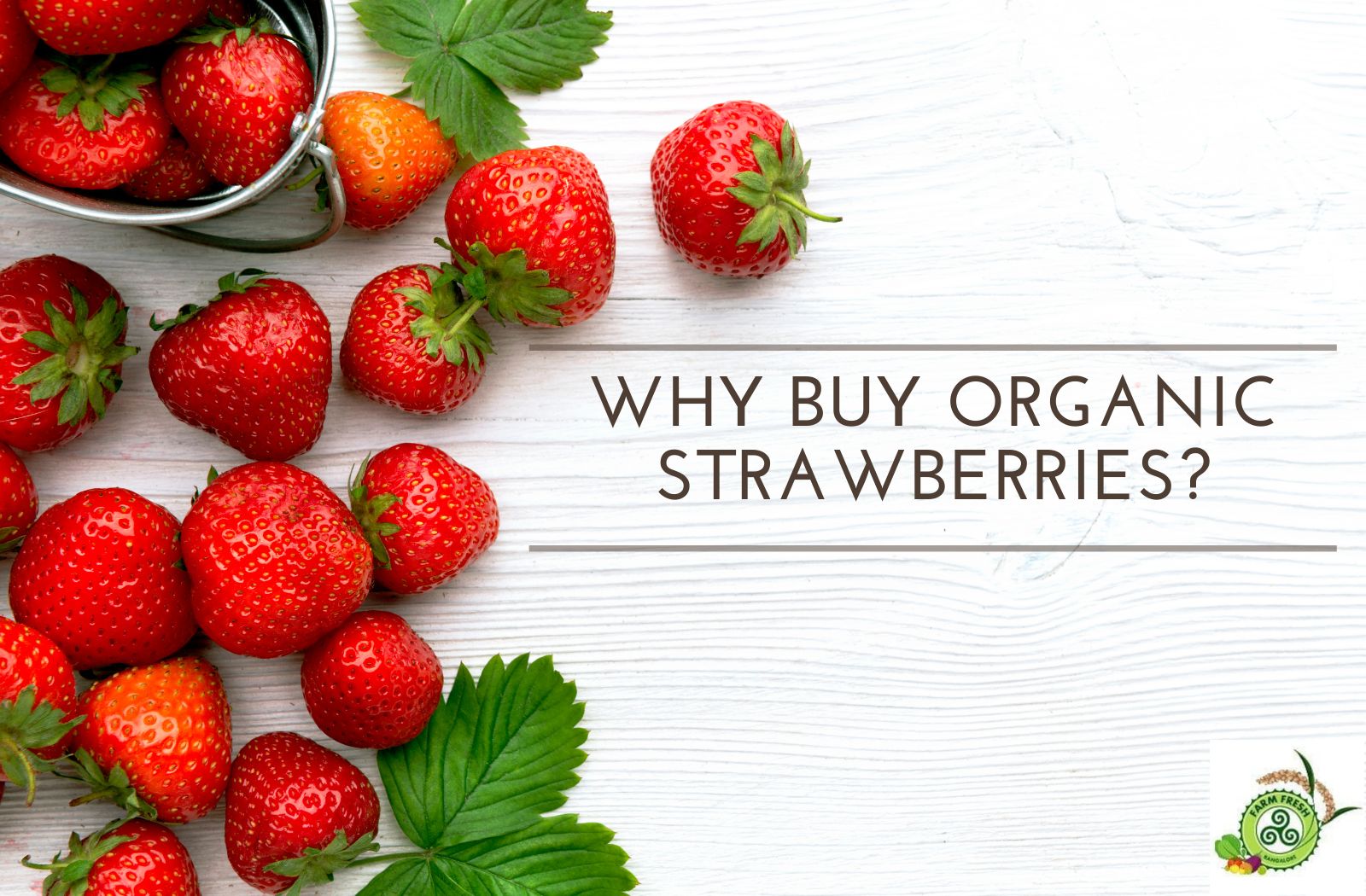 Why Buy Organic Strawberries? Farm Fresh Bangalore