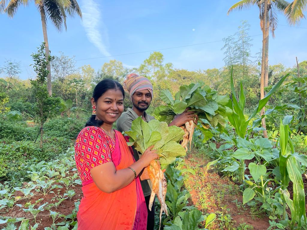 Farm Fresh Basket (Fruits & Vegetables) - Economic Annual Membership