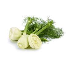 Fresh Fennel