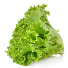 Green lettuce