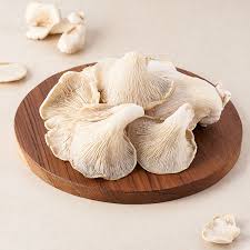 Mushroom Oyster 200g