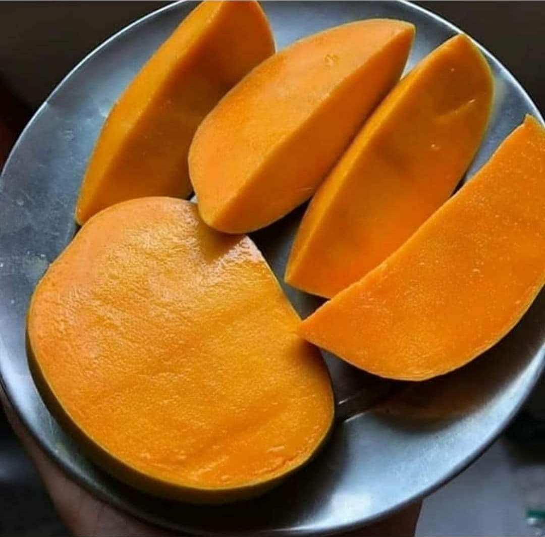Mango Ratnagiri Alphonso