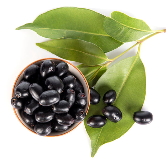 Jamun Fruit