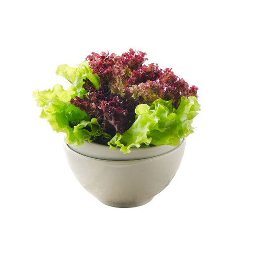 Lettuce Red 150g