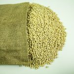 Urad Whole White (Gola) 500g