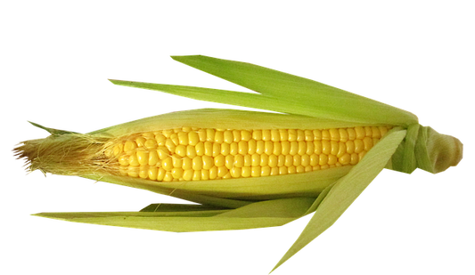 Sweet corn 1 piece
