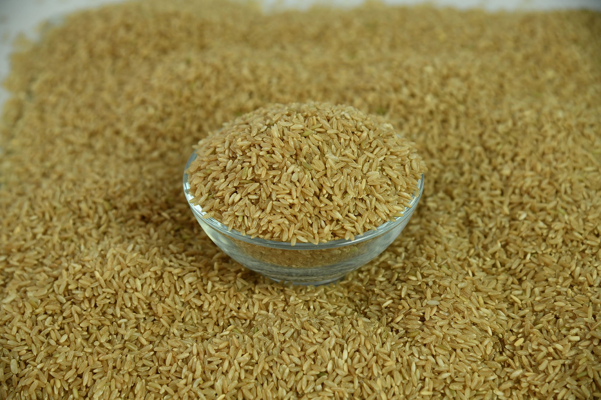 Buy Sona Masuri Rice Unpolished 500g at Best Price ₹54.00 in Bangalore ...