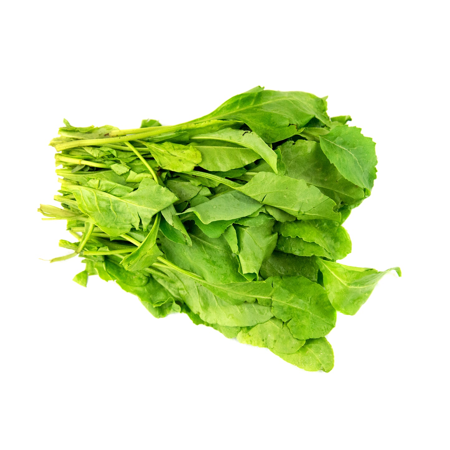 Palak (Spinach) 1 bunch