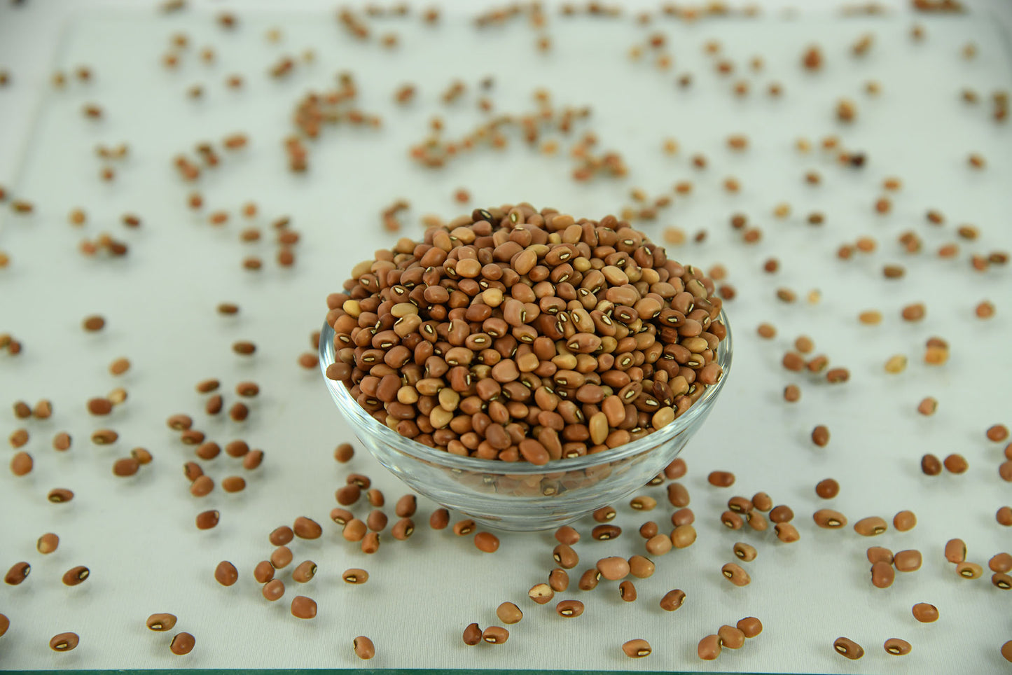 Cowpea Red 500g